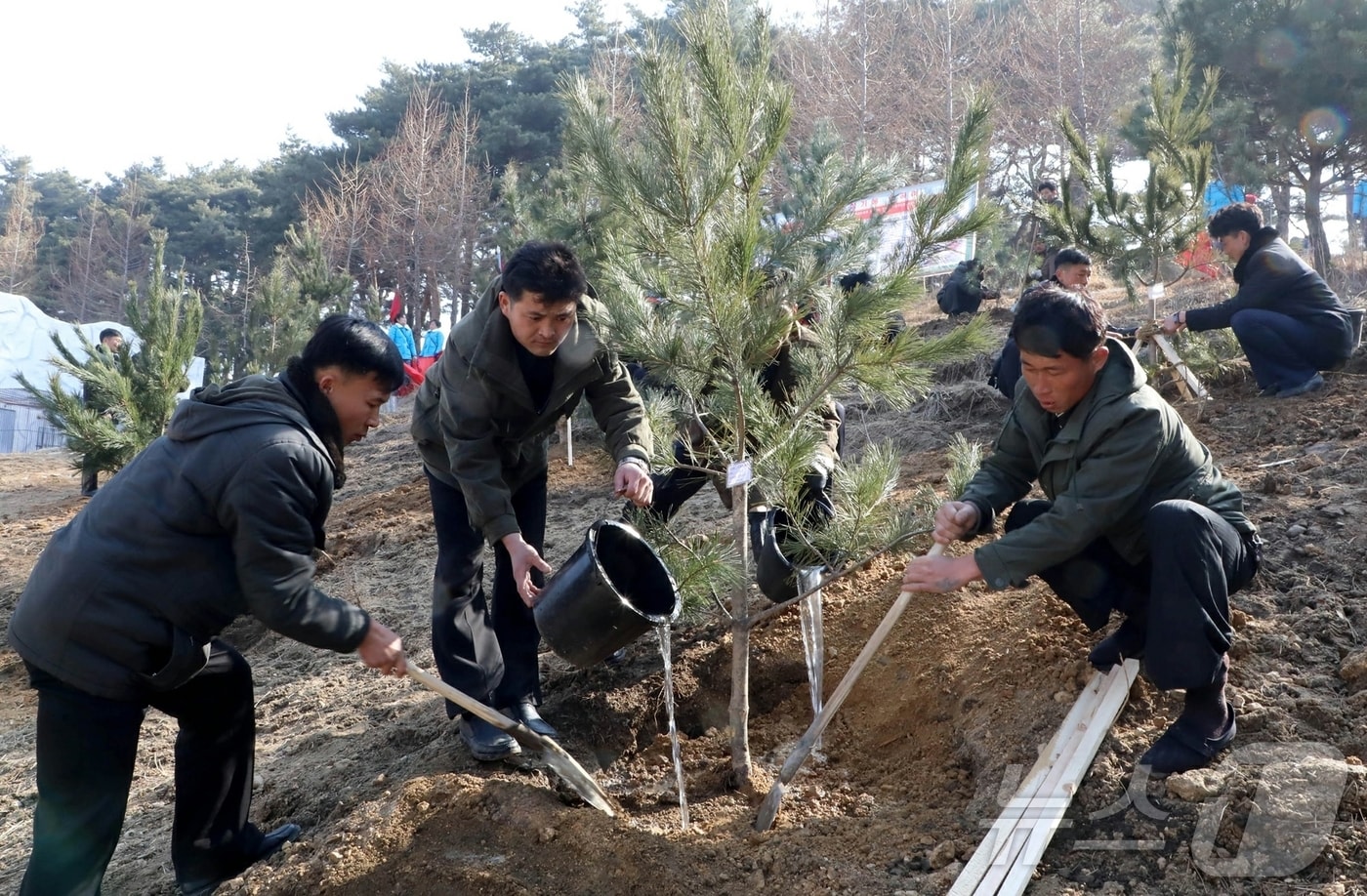 &#40;평양 노동신문=뉴스1&#41; = 북한 노동당 기관지 노동신문은 15일 식수절&#40;3월14일&#41;을 맞아 각지에서 기념 식수를 진행했다면서 평안남북도, 함경남북도 청년들도 각 지역의 계절에 맞게 나무를 심었다고 보도했다. [국내에서만 사용가능. 재배포 금지. DB 금지. For Use Only in the Republic of Korea. Redistribution Prohibited] rodongphoto@news1.kr