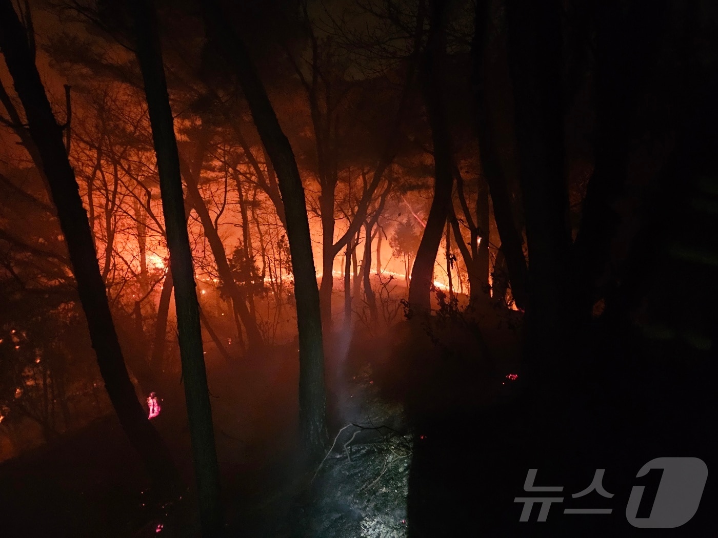 (경기북부소방재난본부 제공. 재판매 및 DB금지)