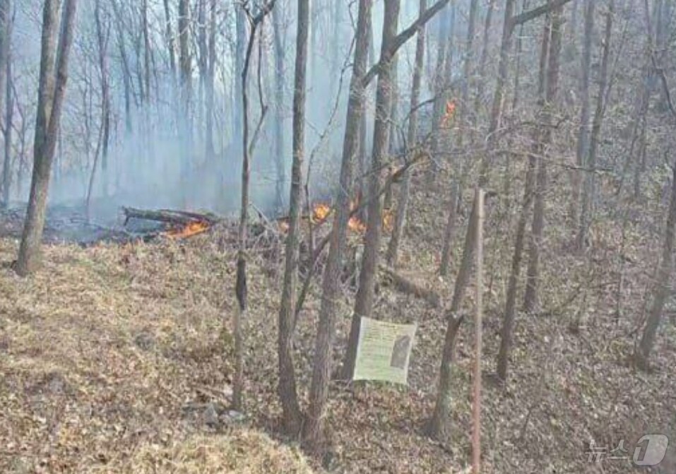 경기 용인시 처인구 양지면 대대리에서 난 산불 (경기소방재난본부 제공. 재판매 및 DB금지)