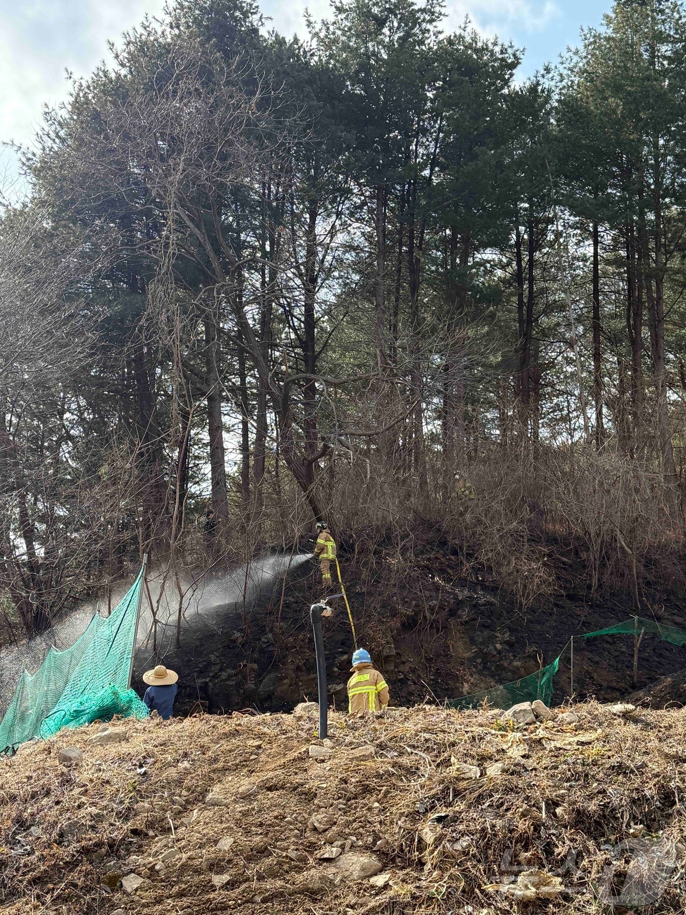 15일 강원 횡성군 청일면 속실리 산불 현장.(강원도소방본부 제공, 재판매 및 DB 금지) 2025.3.15/뉴스1