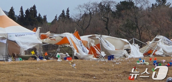 15일 오전 제주들불축제장 천막 등이 강풍에 모두 쓰러져 있다. (제주시 제공. 재판매 및 DB 금지)