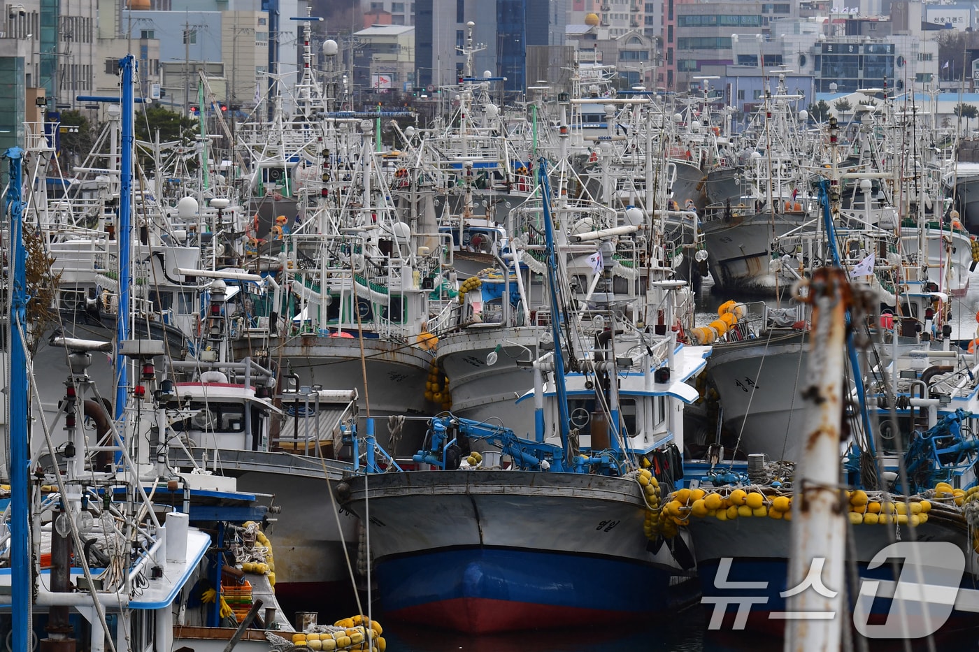 경북 포항시 동빈내항에 정박돼 있는 어선 모습. (뉴스1 자료, 재판매 및 DB금지) 2026.4.8/뉴스1 최창호 기자