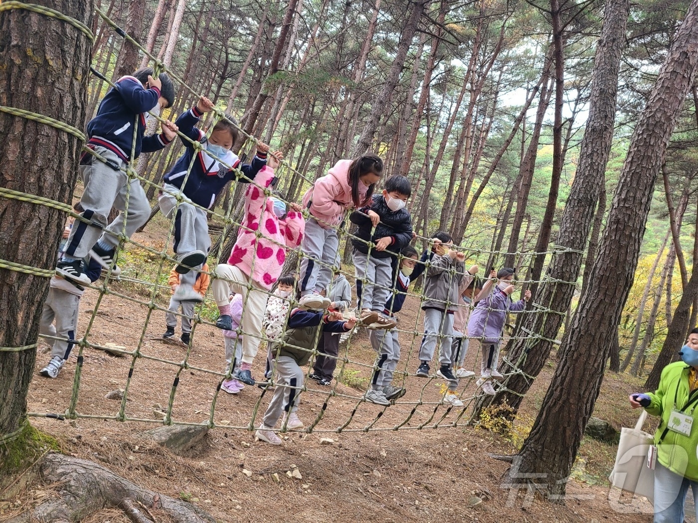 유아숲체험원 프로그램 참여자들.(대구 달성군 제공.재판매 및 DB 금지)
