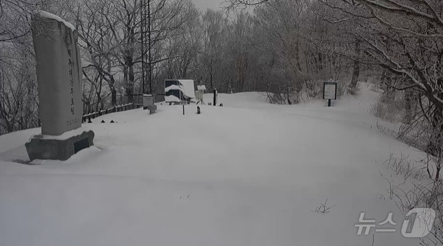  강원 평창 오대산 두로령.(국립공원공단 CCTV 캡처, 재판매 및 DB금지)