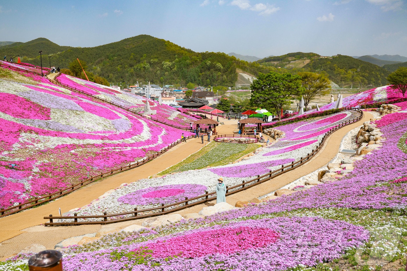 산청 생초국제조각공원 꽃잔디 축제장&#40;산청군 제공. 재판매 및 DB금지&#41;.