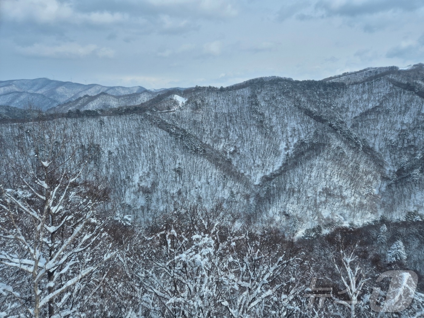 강원 산지와 동해안에 많은 눈이 내린 17일 오후 평창군 발왕산 일대가 설국으로 변해 있다. 2025.3.17/뉴스1 ⓒ News1 윤왕근 기자