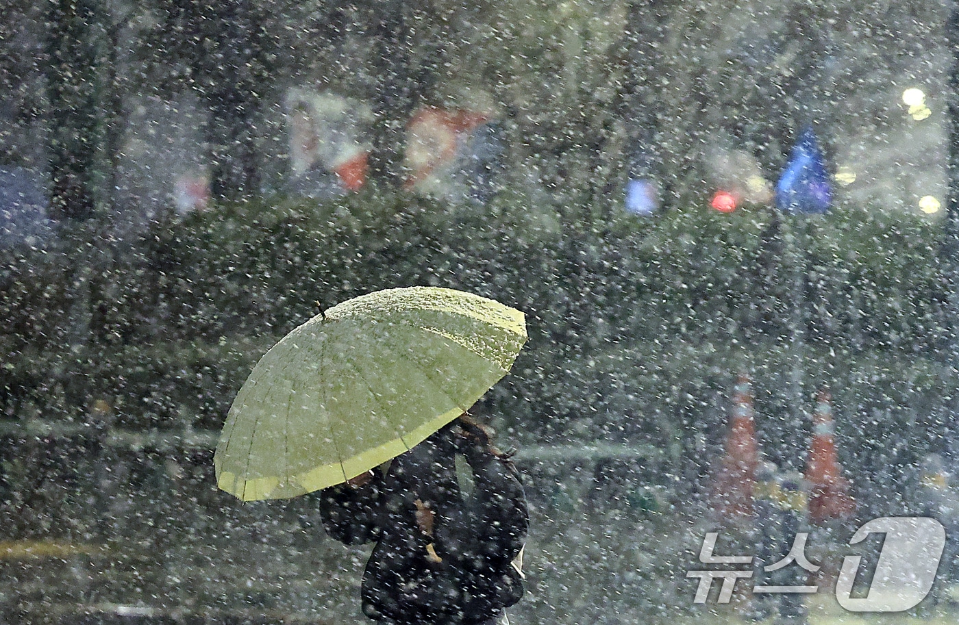 ⓒ News1 DB 박정호 기자