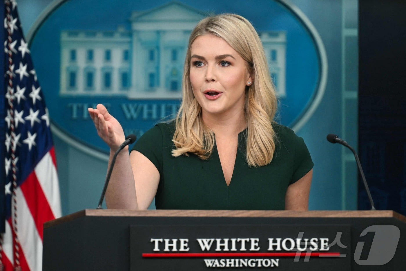 캐롤라인 레빗 백악관 대변인이 2025년 3월 17일 워싱턴DC 백악관 브리핑룸에서 열린 일일 언론 브리핑에서 발언하고 있다. ⓒ AFP=뉴스1