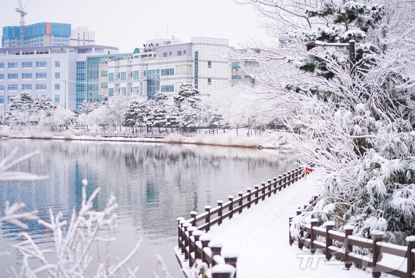 강원 산간과 동해안에 많은 눈이 내린 18일 속초시 영랑호 일대가 설국으로 변해 있다.(속초시 제공, 재판매 및 DB 금지) 2025.3.18/뉴스1 ⓒ News1 윤왕근 기자