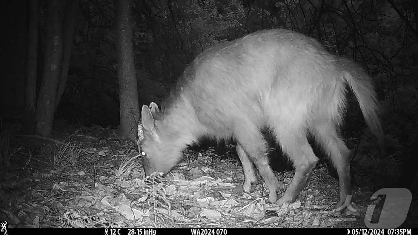 ⓒ News1 손도언 기자