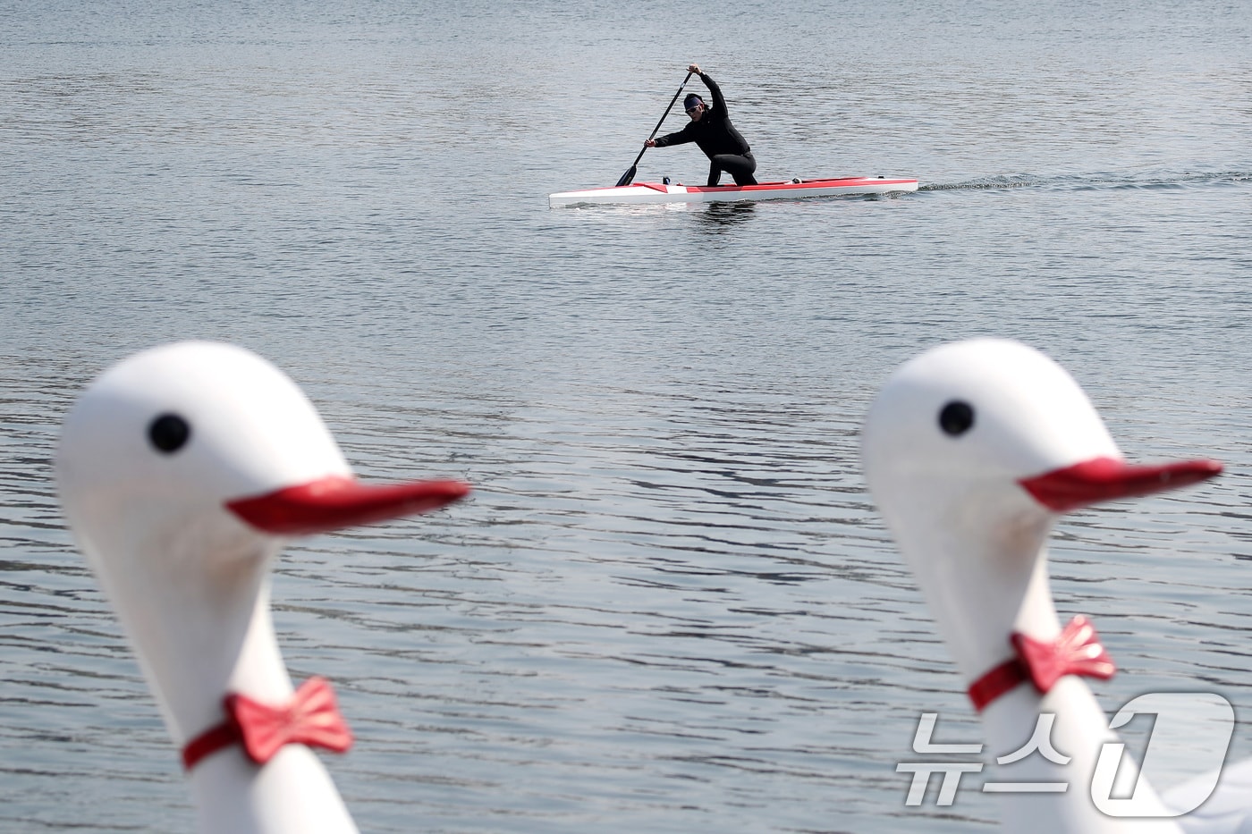 유원지에서 카누 선수가 힘차게 노를 저으며 훈련하고 있다. (자료사진) ⓒ News1 공정식 기자