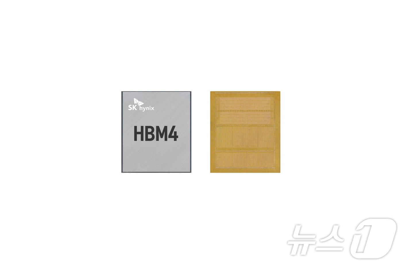 SK하이닉스 HBM4 12단 샘플&#40;SK하이닉스 제공&#41;. ⓒ News1 박주평 기자