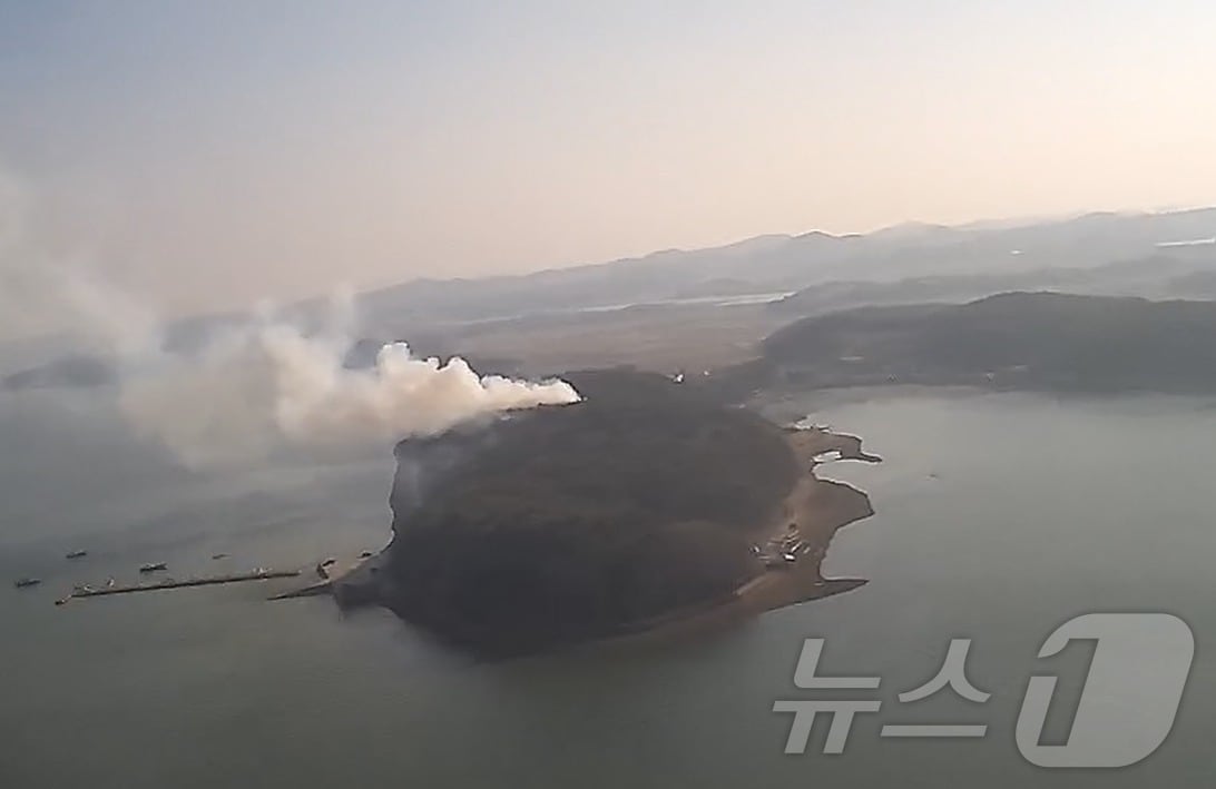 태안군 안면읍 중장리 임야 산불 현장.(산림청 제공..재판매 및 DB금지)/뉴스1