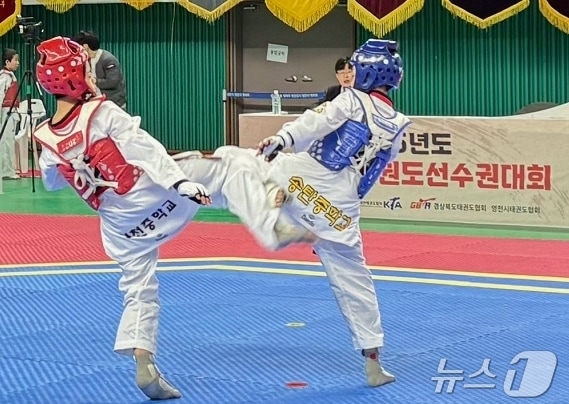 전국 종별 태권도선수권대회 중등부 체급별 겨루기 경기 모습 (영천시 제공. 재판매 및 DB금지) 2025.3.20/뉴스1