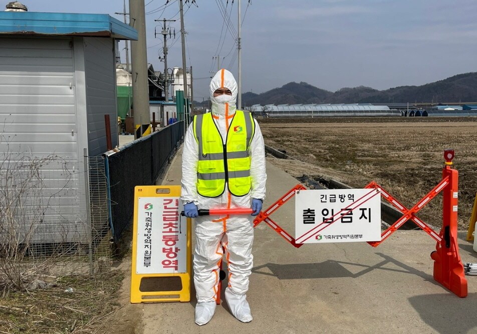 충남 천안 풍세면의 한 산란계 농장에서 조류인플루엔자가 추가 발생했다. &#40;천안시청 제공. 재판매 및 DB금지&#41;/뉴스1