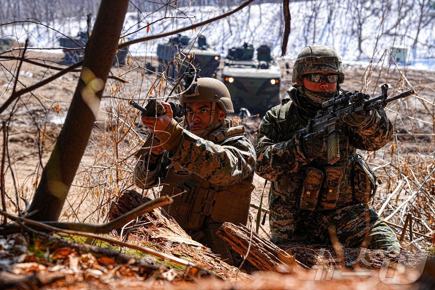 한미 해병대가 3일부터 21일까지 포항,포천,파주 일대 훈련장에서 25-1차 KMEP 연합보병, 제병협동훈련을 실시했다고 21일 밝혔다. 사진은 한미 해병대 장병들이 제병협동훈련 간 K808을 이용한 공격작전을 수행하는 모습. (해병대사령부 제공, 재판매 및 DB 금지) 2025.3.21/뉴스1