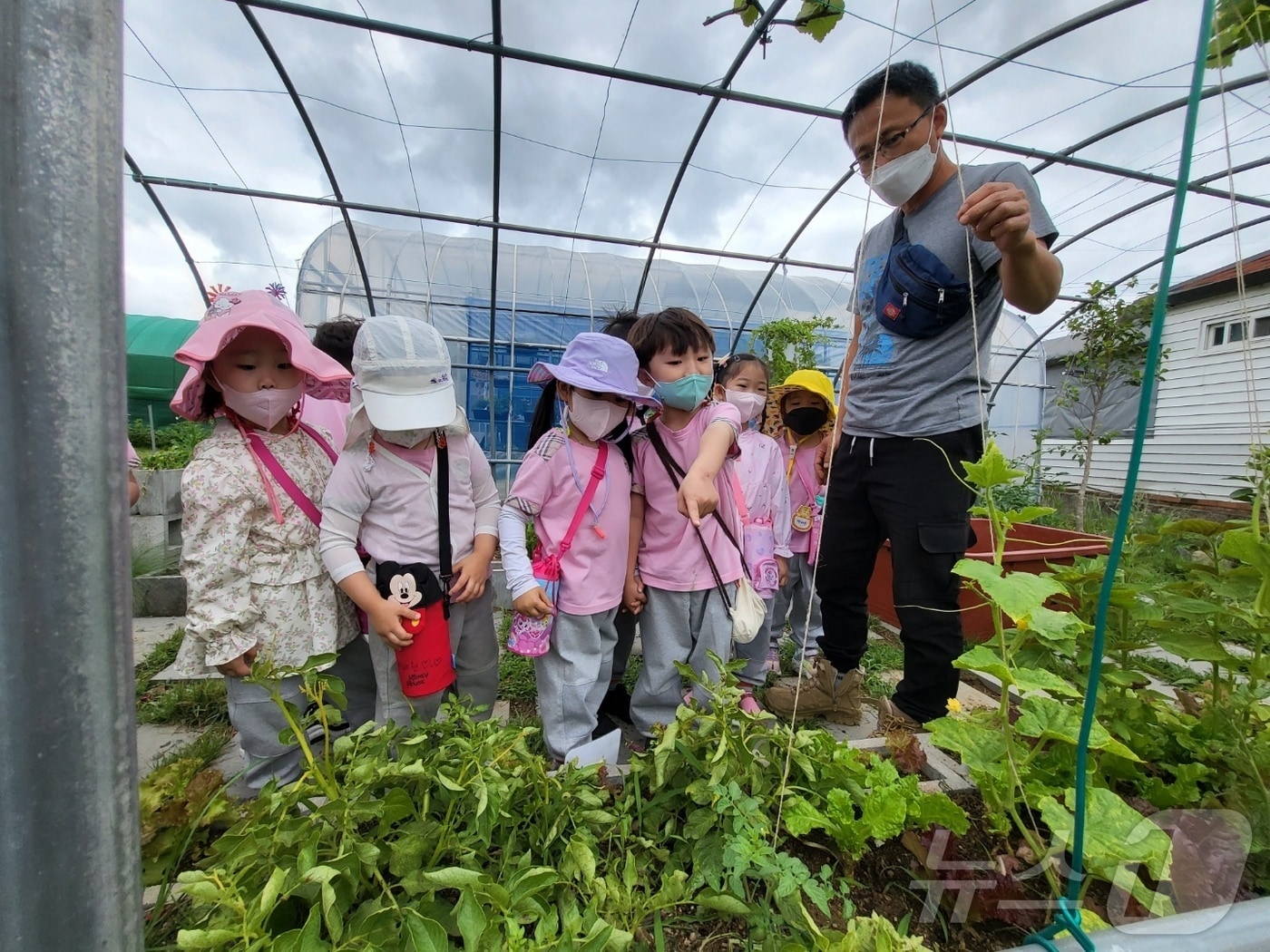 울산 북구가 친환경급식에 공급되는 식재료 이해도를 높이기 위해 유치원생과 초등학생을 대상으로 친환경 식생활교육을 추진한다고 21일 밝혔다.(울산 북구 제공. 재판매 및 DB 금지) /뉴스1