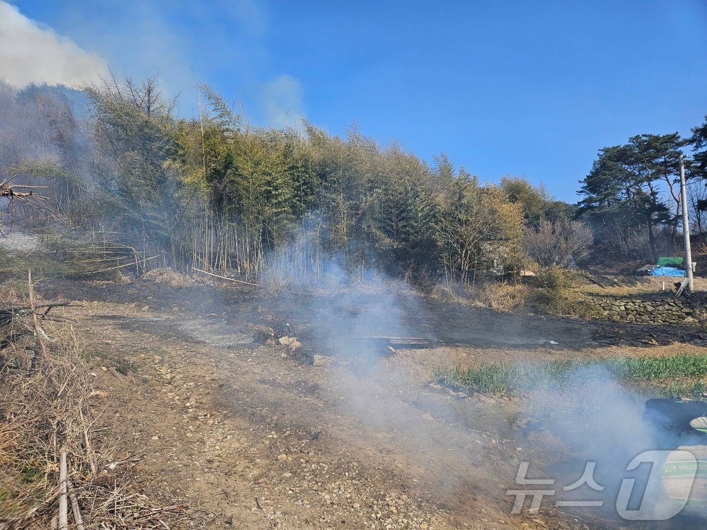21일 오후 3시 9분께 전북자치도 임실군 삼계면 한 야산에서 불이 났다.(전북소방 제공. 재판매 및 DB금지)