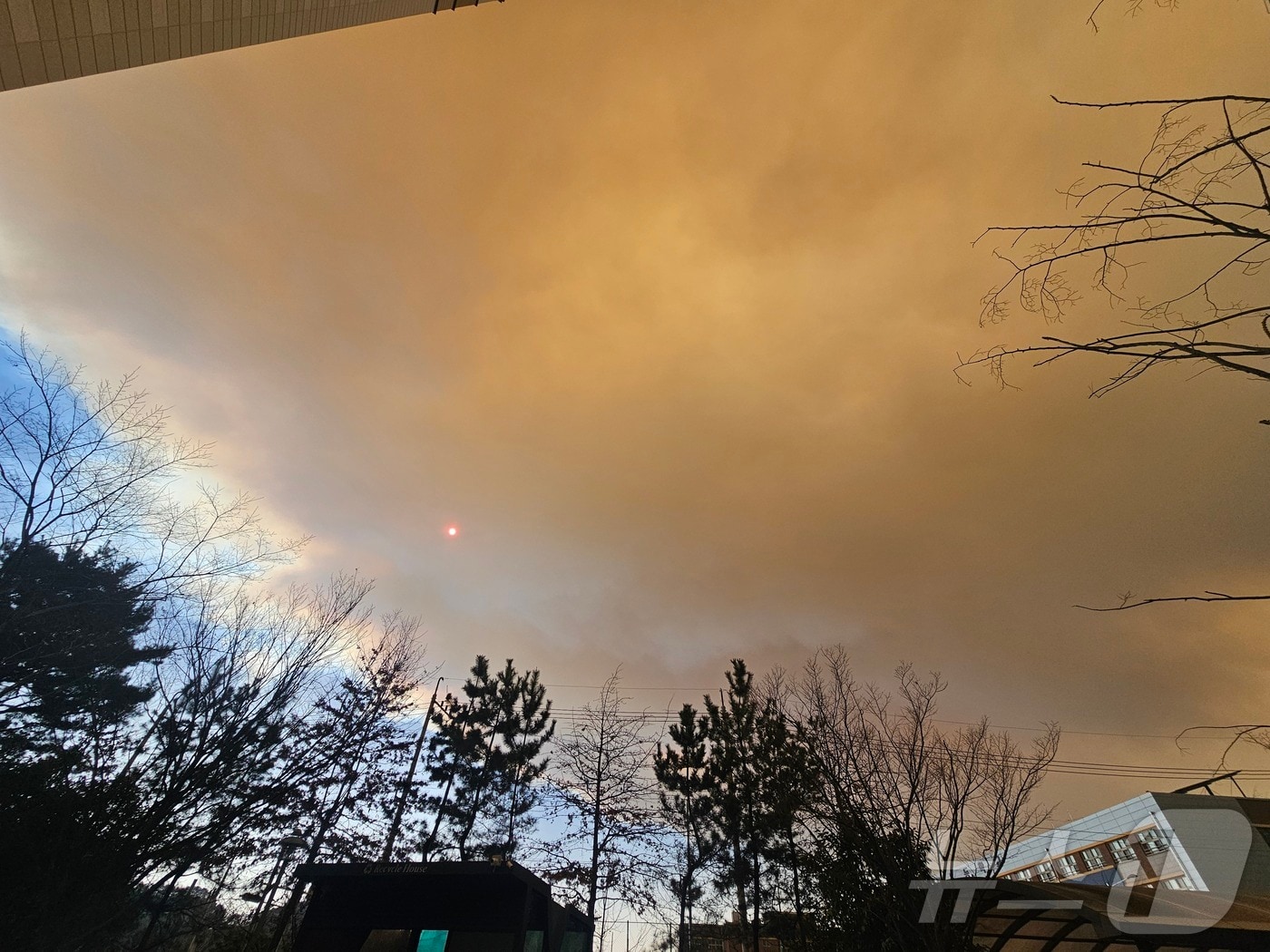 산청 방향에서 넘어온 산불 화재 연기가 진주시 평거동 상공을 뒤덮고 있다. 2025.3.22/뉴스1 한송학기자