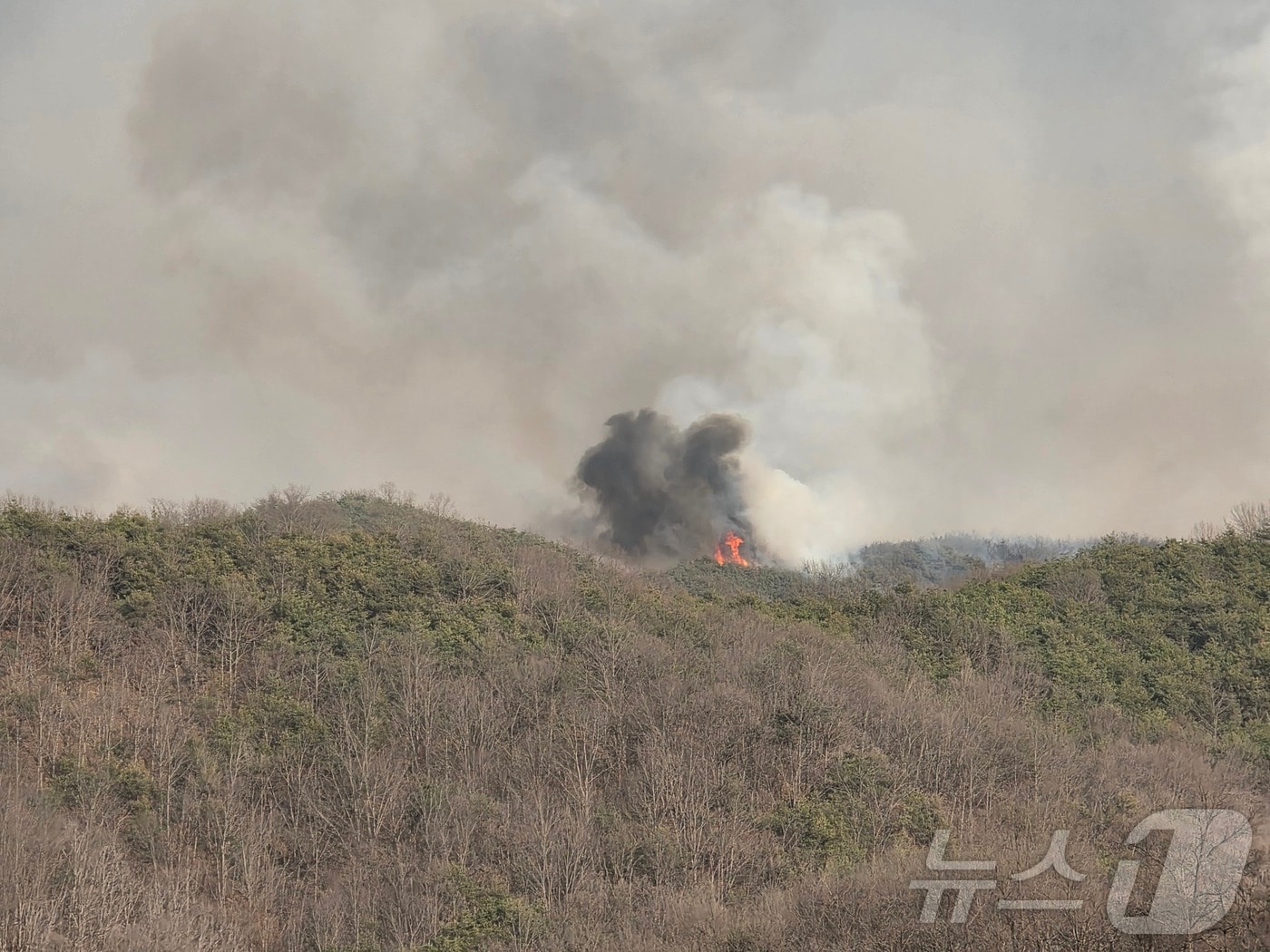 경북 의성군 일대 야산에서 22일 동시다발적인 산불이 발생해 주민 대피령이 내려졌다. 사진은 산불 현장. (경북소방본부 제공. 재판매 및 DB 금지) 2025.3.22/뉴스1