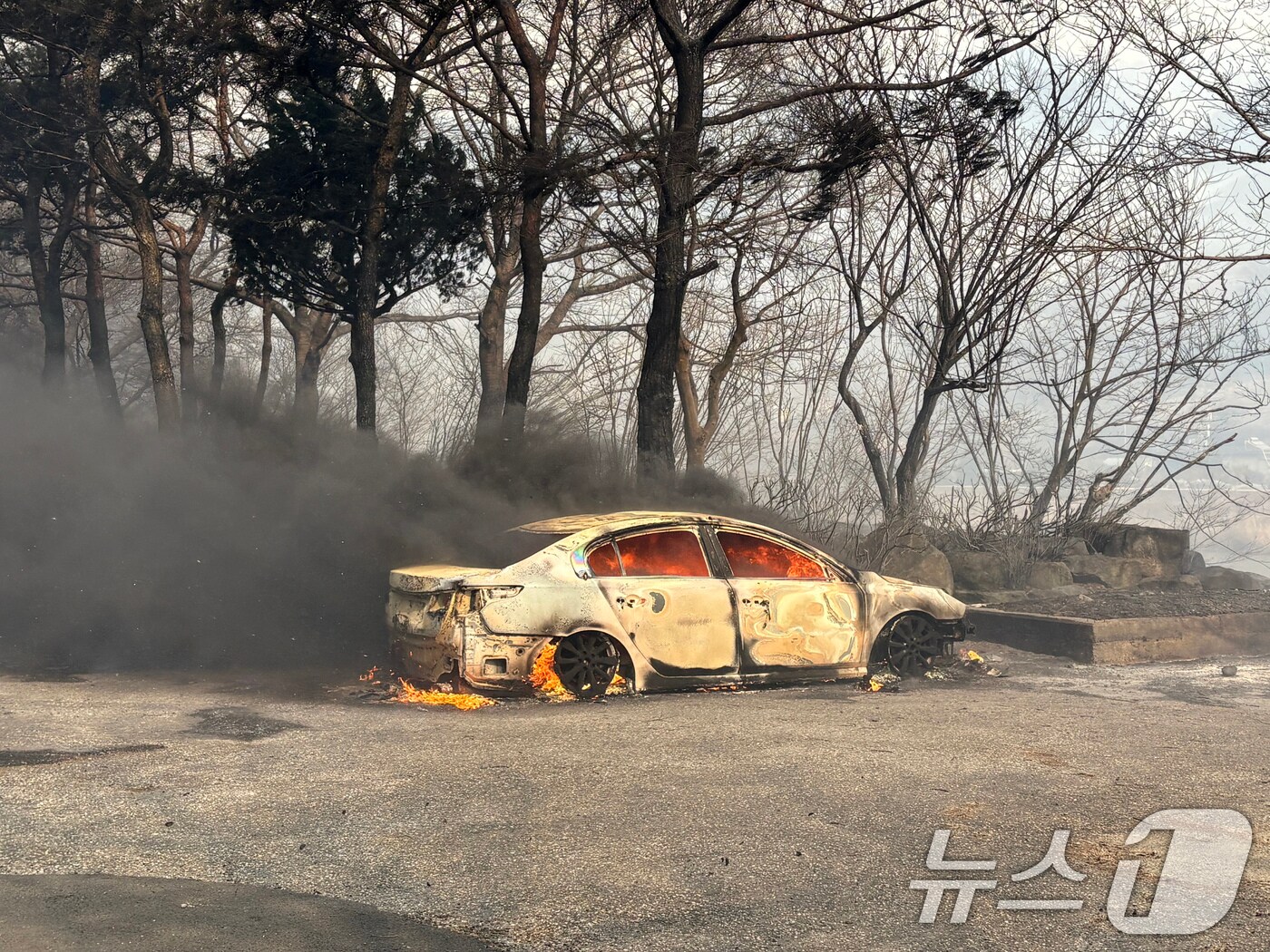 22일 경남 산청 시천면에서 산불이 발생해 민가의 차량이 전소되고 있다. 2025.3.22/뉴스1 ⓒ News1 강미영 기자