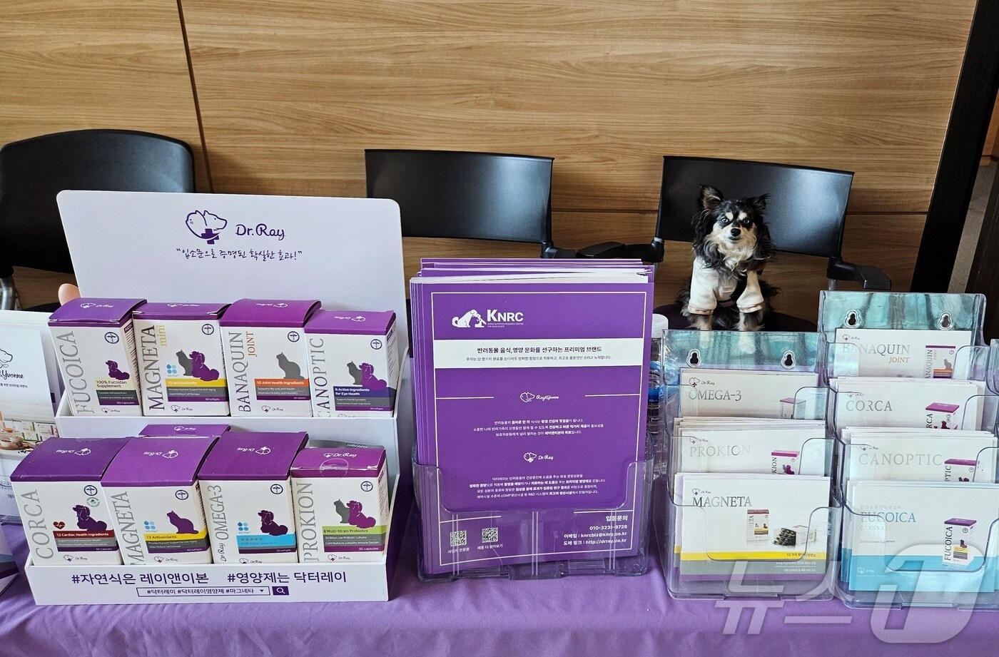 한국반려동물영양연구소는 23일 서울 강남구 세텍에서 영양제 브랜드 닥터레이 제품을 소개했다. ⓒ 뉴스1