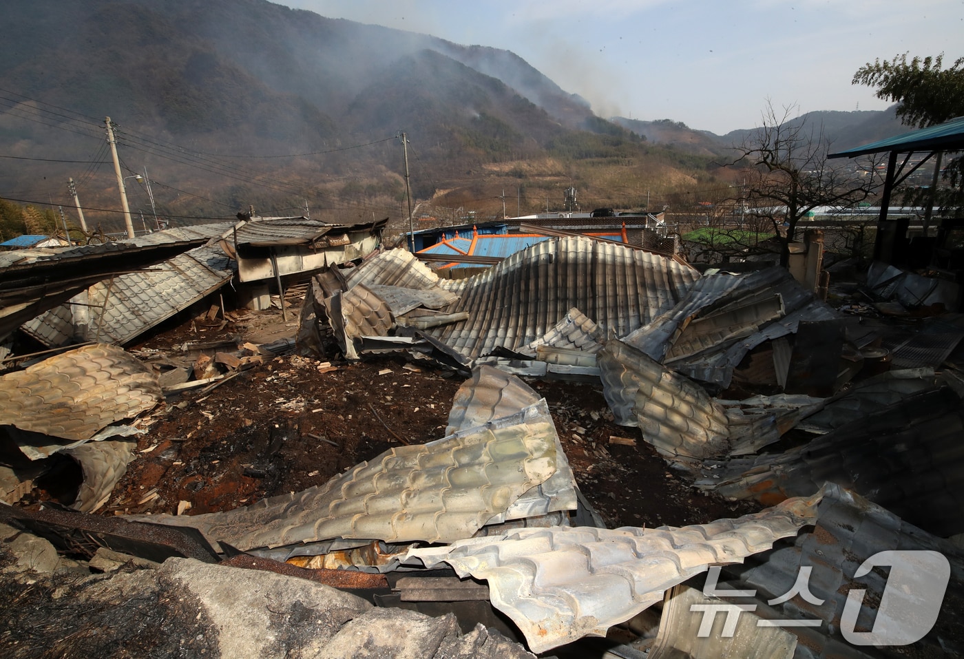 경남 산청 대형 산불이 사흘째로 접어든 23일 오후 산청군 시천면 외공마을 민가가 불에 타 있다. 마을 뒤로는 산불이 번지고 있다. 2025.3.23/뉴스1 ⓒ News1 윤일지 기자
