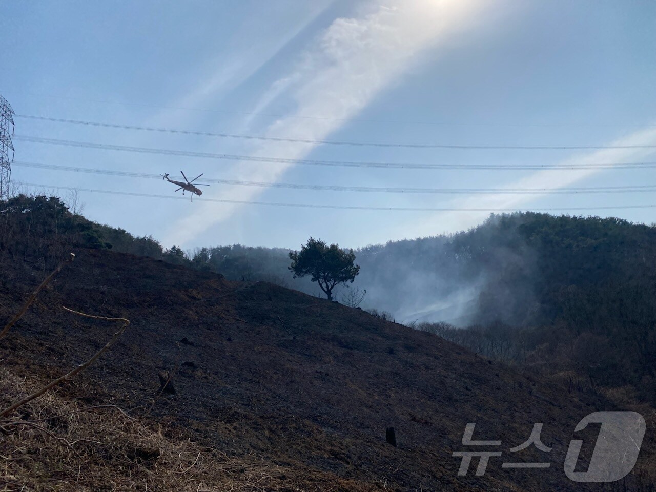 23일 경남 함양군 유림면에서 난 산불.2025.03.23/뉴스1 한송학기자