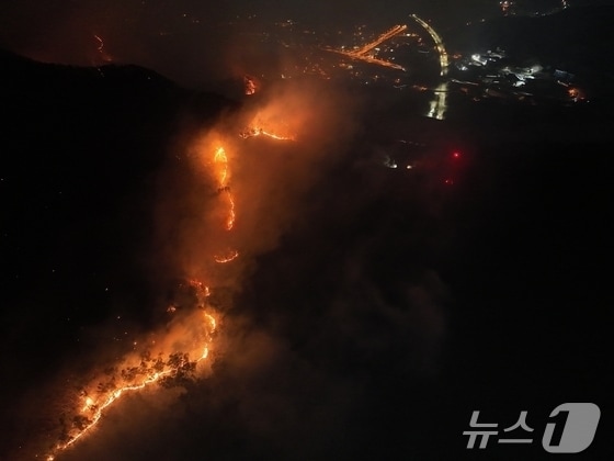 김해 한림면 안곡리 산불(산림청 제공. 재판매 및 DB금지).