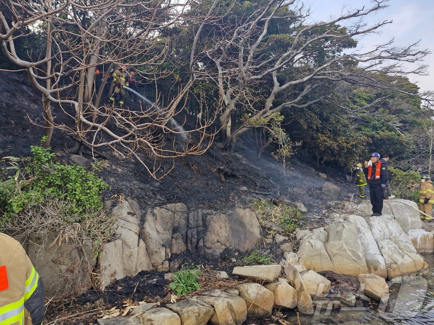 23일 오후 천연기념물로 지정된 울산 목도에서 화재가 발생해 2시간만에 진화됐다.(울산해양경찰서 제공. 재판매 및 DB금지) 뉴스1