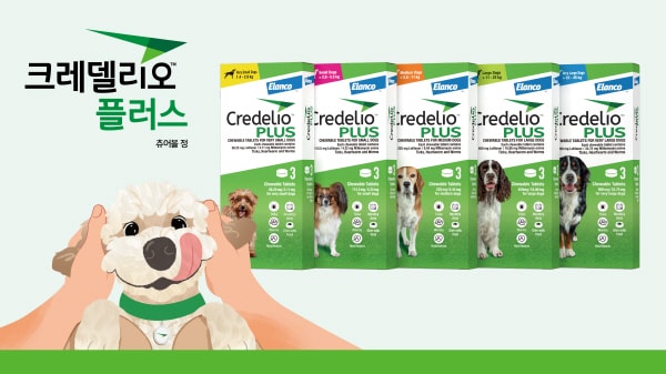 사진=한국엘랑코동물약품 제공