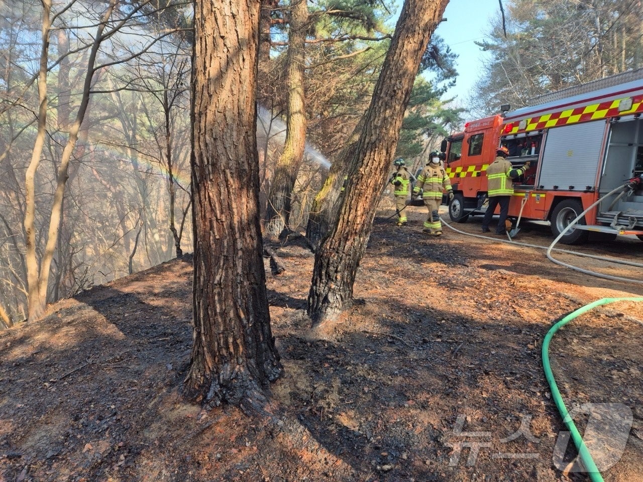 지난 22일 오후 3시 19분쯤 광주 무등산 국립공원 금곡동 방면에서 불이 나 소방당국이 화재를 진화하고 있다.(광주 북부소방 제공. 재판매 및 DB 금지)