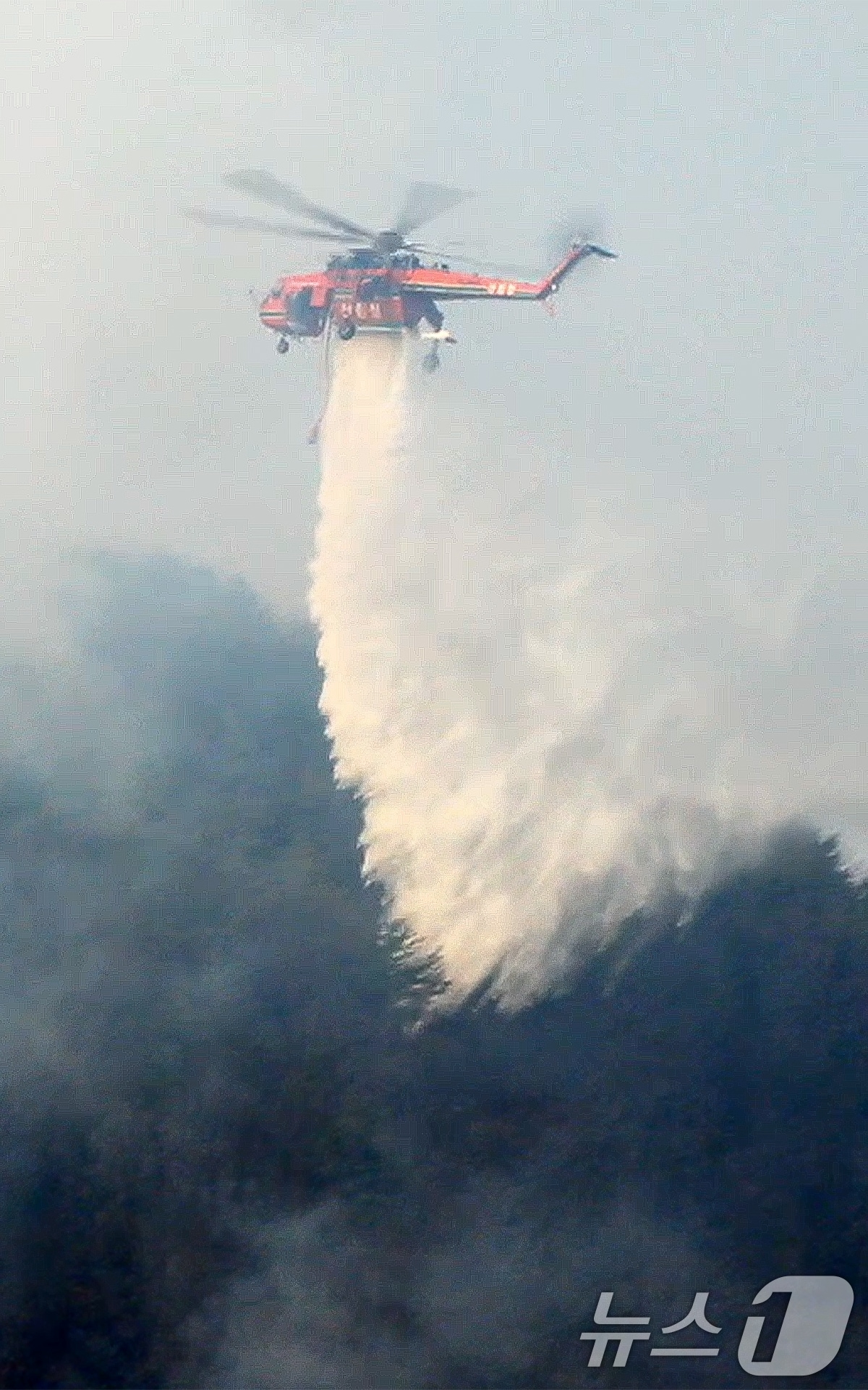24일 경북 의성군 산불현장에 투입된 산림청 초대형 산불진화헬기 S-64가 물폭탄을 쏟아붙고 있다. (산림청 제공, 재판매 및 DB 금지) 2025.3.24/뉴스1 ⓒ News1 최창호 기자