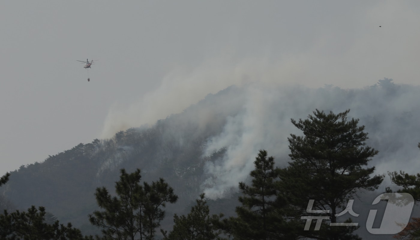 24일 울산 울주군 온양읍 운화리 일대에서 산불이 나 산림당국이 진화 작업을 하고 있다. 2025.3.24/뉴스1 ⓒ News1 김지혜 기자