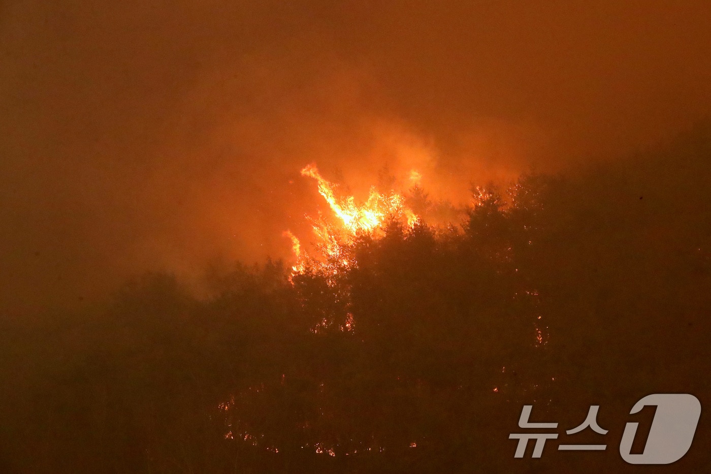 의성 산불 나흘째인 25일 오후 경북 안동시 길안면 백자리에 강풍이 불어와 주변 산이 시뻘건 화염에 휩싸여 있다. 2025.3.25/뉴스1 ⓒ News1 공정식 기자