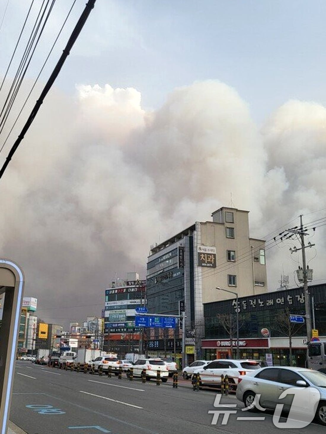 25일 오후 경북 의성에서 발생한 산불이 강풍을 타고 확산되면서 안동시 내 쪽으로 짙은 연기가 몰려들고 있다. (독자제공, 재판매 및 DB 금지) ⓒ News1 최창호 기자