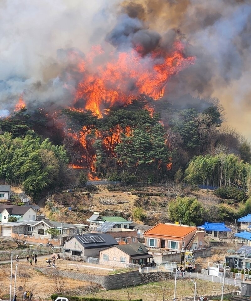 전북자치도 정읍시 소성면 금동마을 인근서 발생한 산불(독자 제공. 재판매 및 DB금지) 2025.3.25/뉴스1 ⓒ News1 장수인 기자