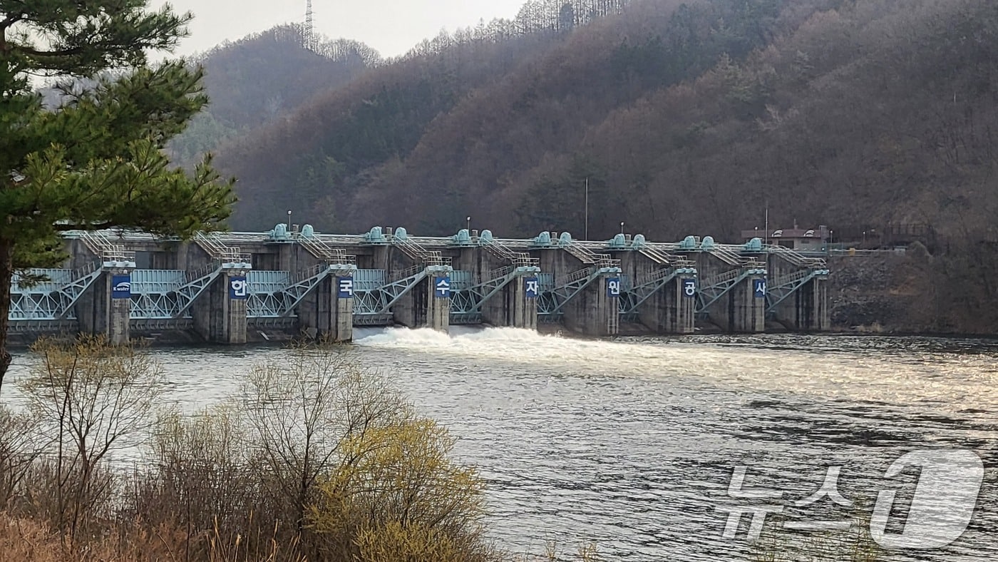 안동댐 /뉴스1 DB