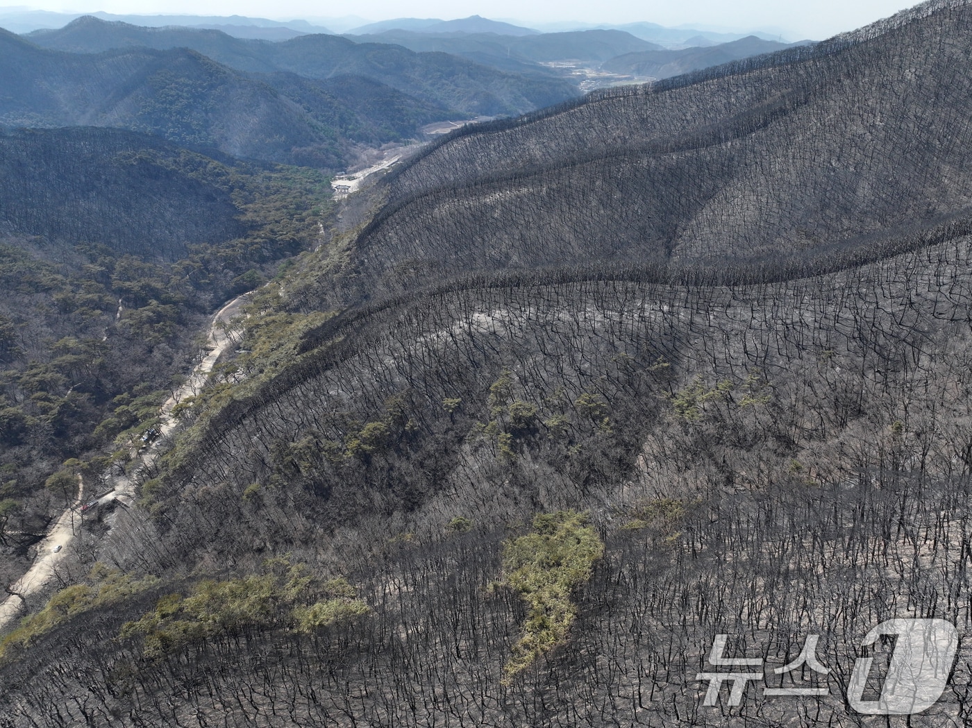 26일 경북 의성군 고운사 인근 등운산 일대에 시커멓게 탄 화마의 흔적이 보이고 있다. 2025.3.26/뉴스1 ⓒ News1 이승배 기자