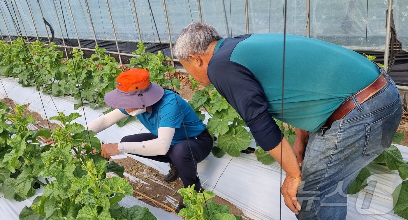 충북 진천군 농업기술센터는 본격적인 영농철을 맞아 현장 애로 해결을 위한 '기술보급 확산지원단'을 운영한다.(진천군 제공)/뉴스1