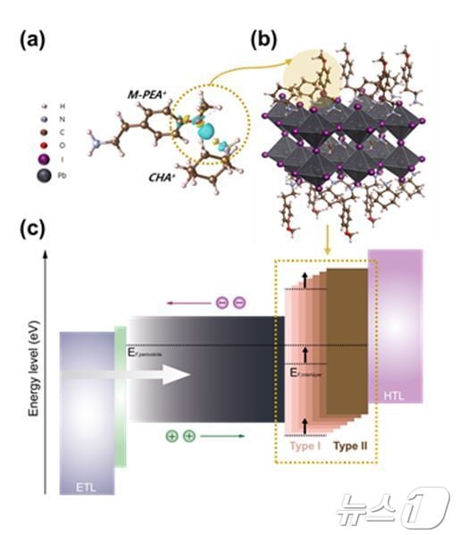 유기 양이온의 호환성을 기반으로 유도된 중간층. (UNIST 제공. 재판매 및 DB 금지) /뉴스1
