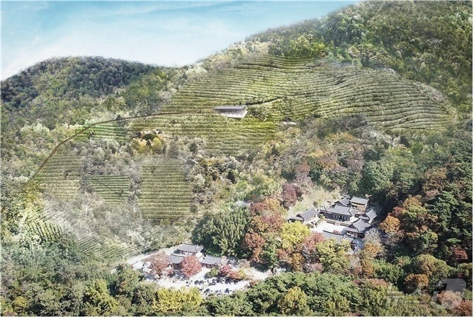 무등산 춘설차 밭 조감도. (광주 동구 제공. 재판매 및 DB 금지) 