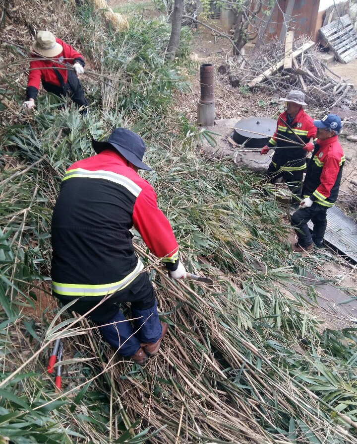 양양지역 산불예방 인화물질 제거작업.(양양군 제공, 재판매 및 DB 금지) 2025.3.27/뉴스1