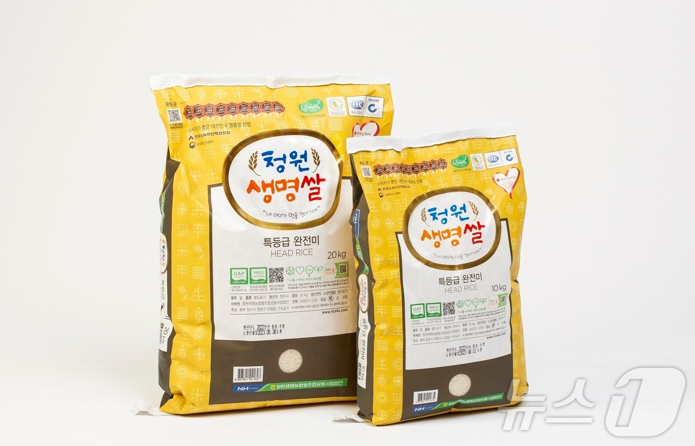 뉴스1DB