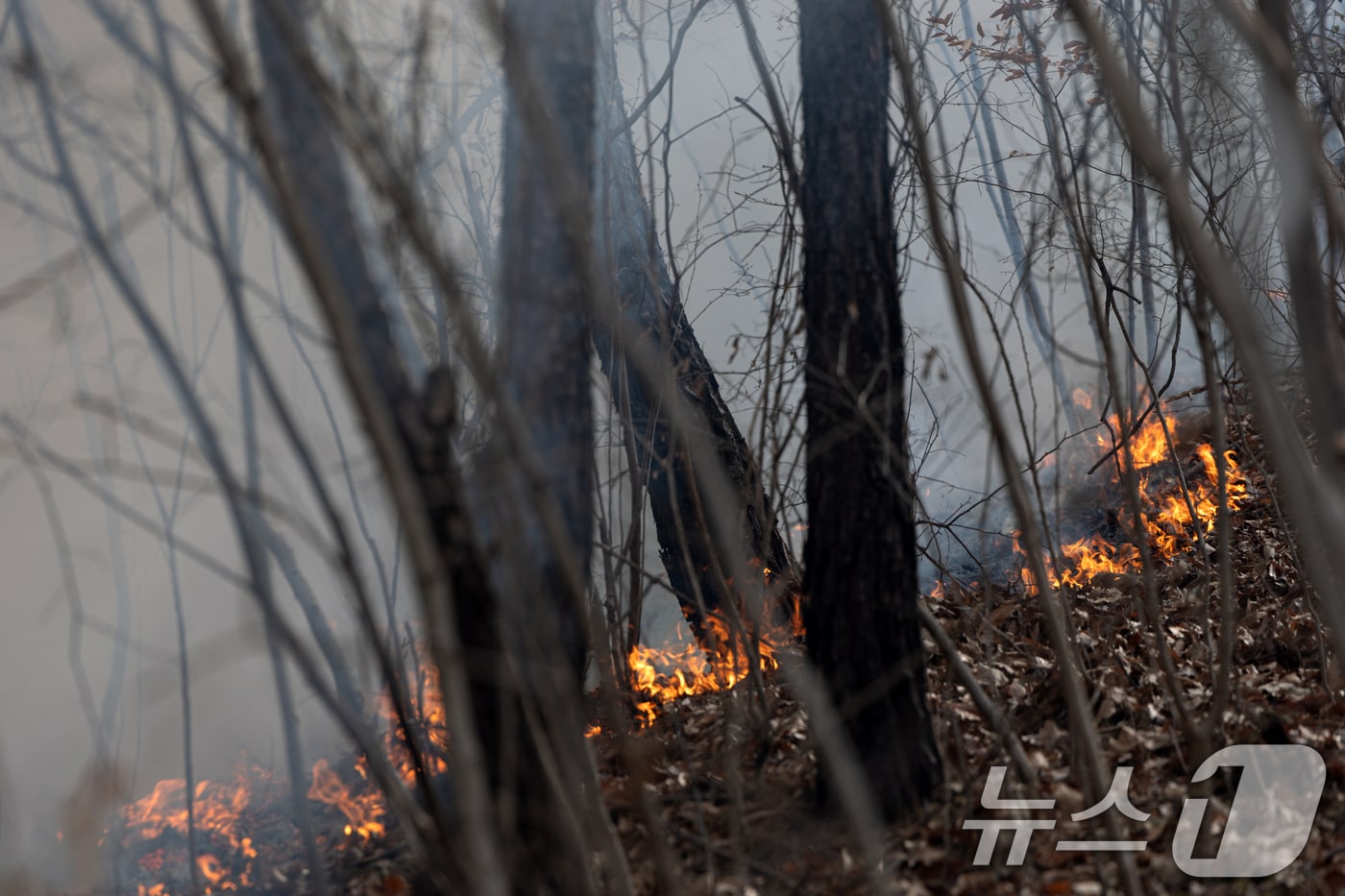 경북 의성군 비안면 일대 야산에서 산불이 발생하고 있다. 2025.3.27/뉴스1 ⓒ News1 이승배 기자