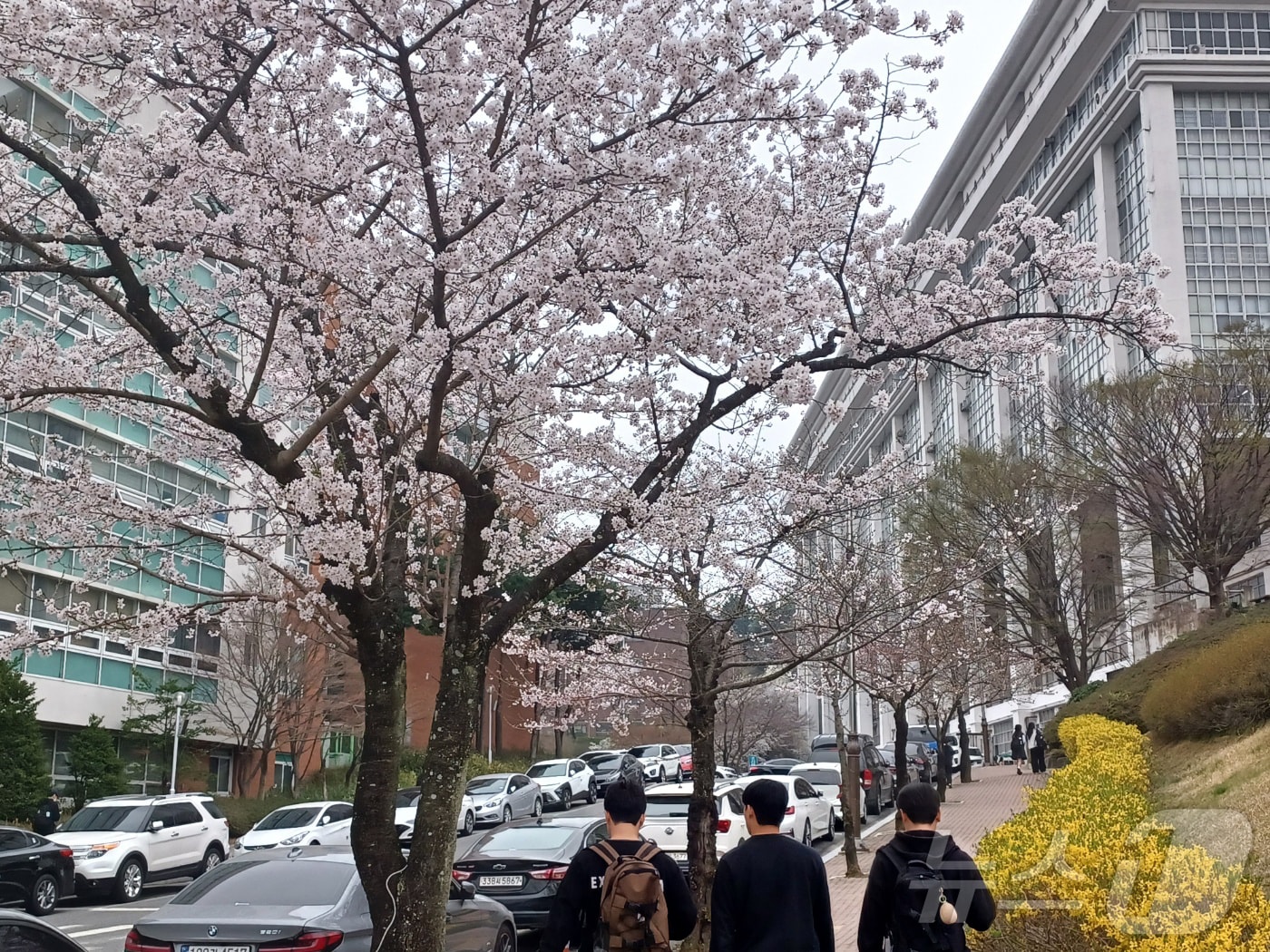 자료사진/뉴스1