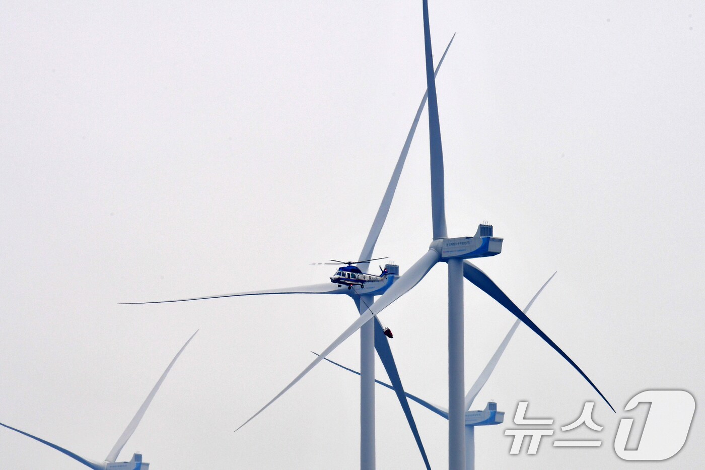 영덕읍 삼계리 풍력발전기 단지 (자료사진) 2025.3.27/뉴스1 ⓒ News1 최창호 기자