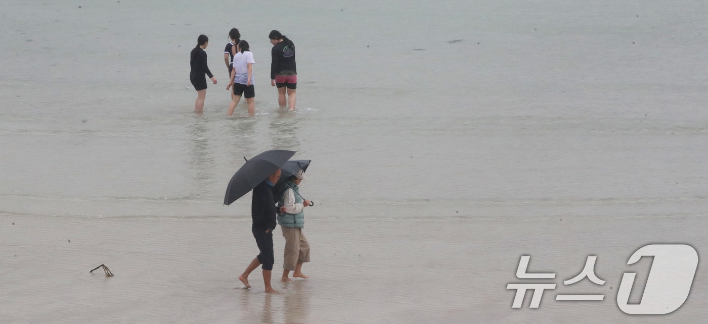 비 내리는 제주(자료사진)/뉴스1