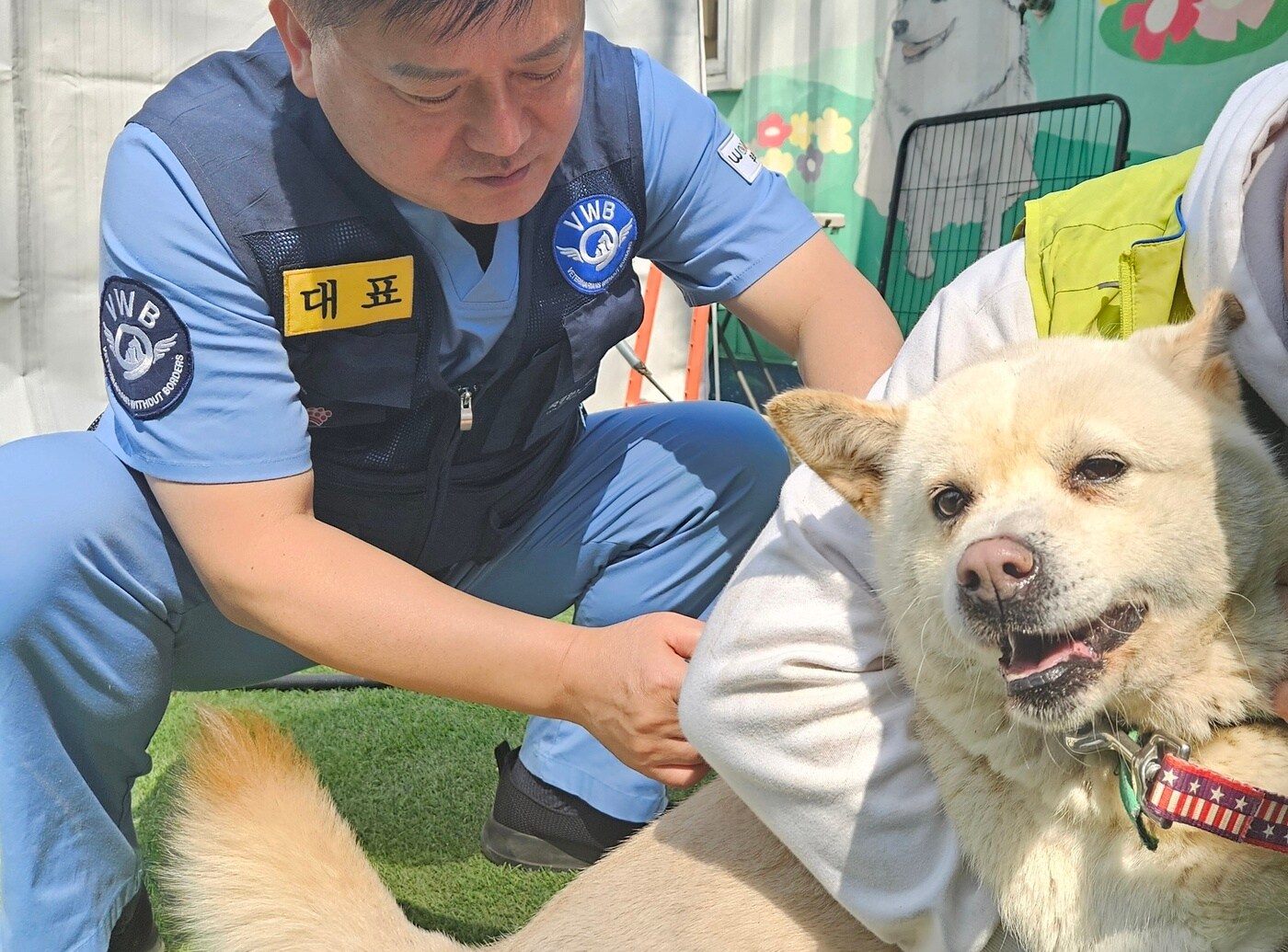 국경없는 수의사회가 경기도 용인에 위치한 행강 보호소에서 의료 봉사를 진행했다. &#40;국경없는 수의사회 제공&#41; ⓒ 뉴스1