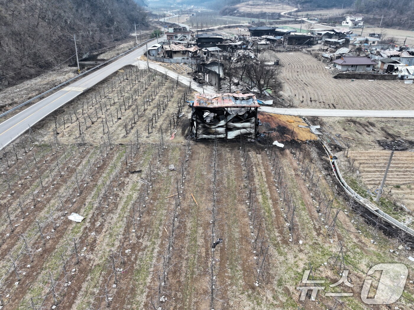 28일 안동시 임하면 마을에 산불 피해 흔적이 남아있다. 2025.3.28/뉴스1 ⓒ News1 이승배 기자